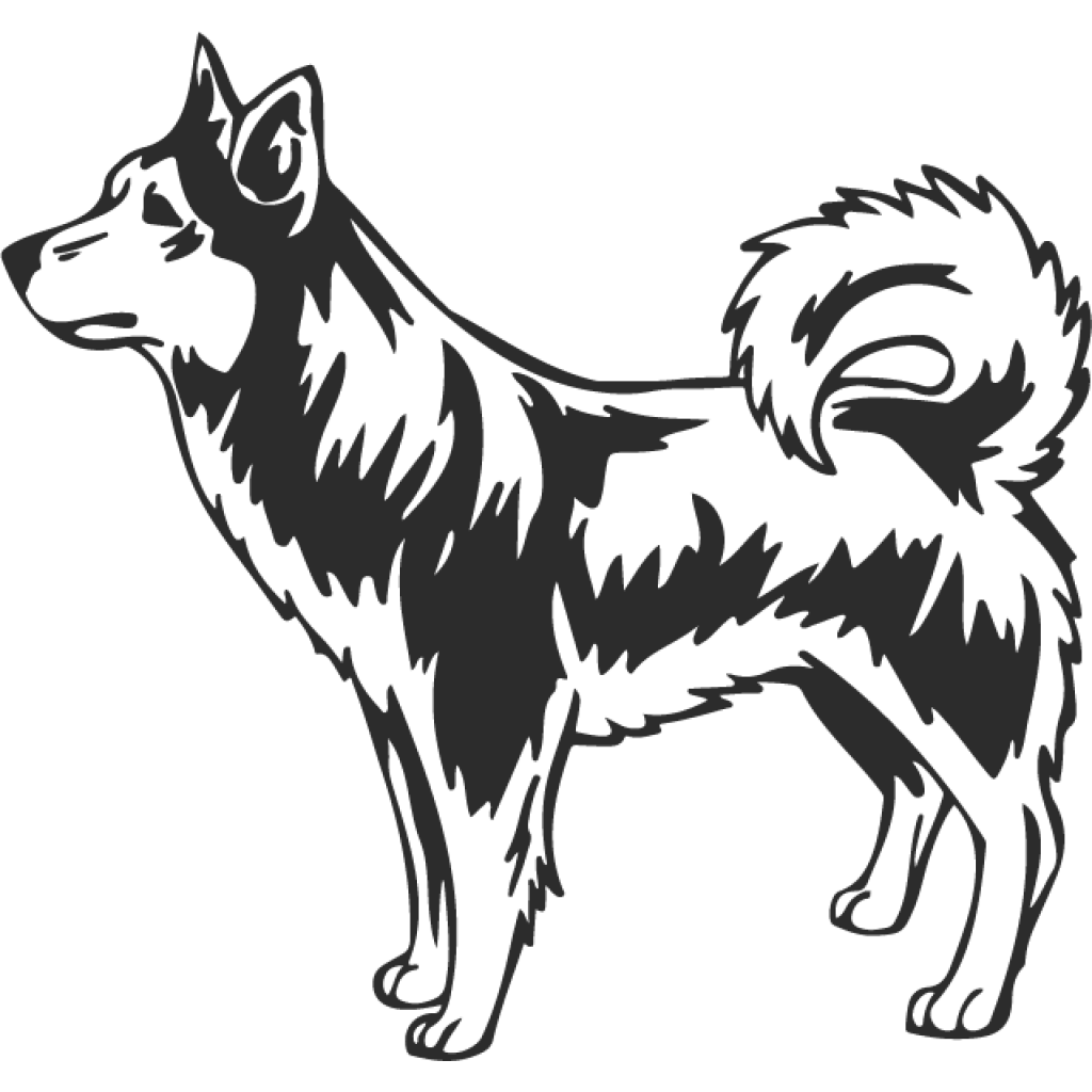 Husky VI samolepka Husky VI samolepka