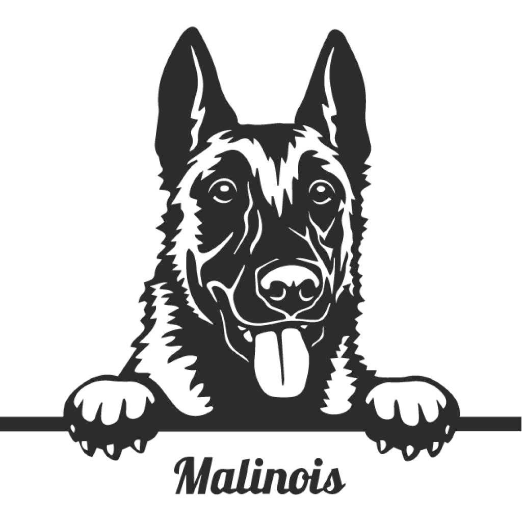 Malinois samolepka Malinois samolepka