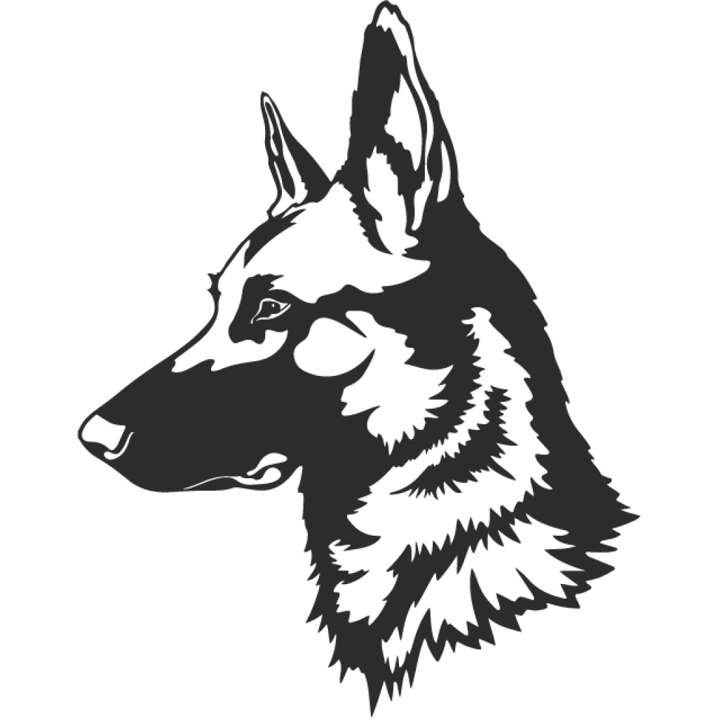 Malinois II samolepka Malinois II samolepka