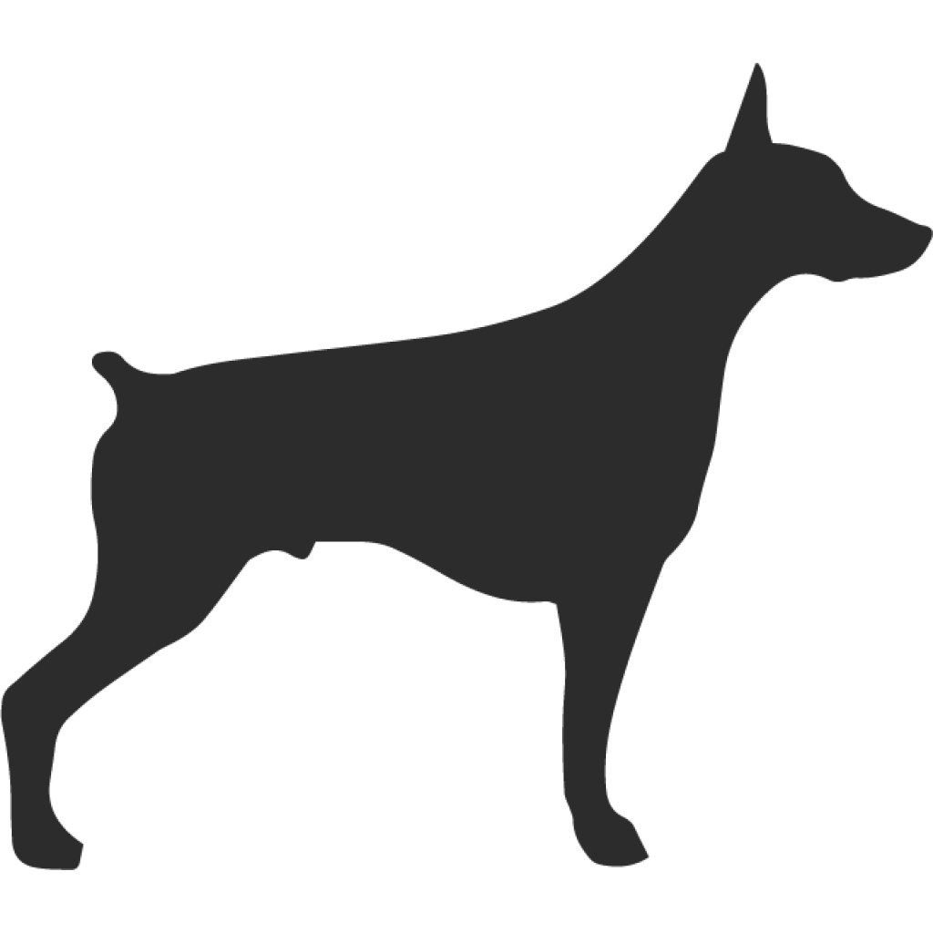 Doberman samolepka Doberman samolepka