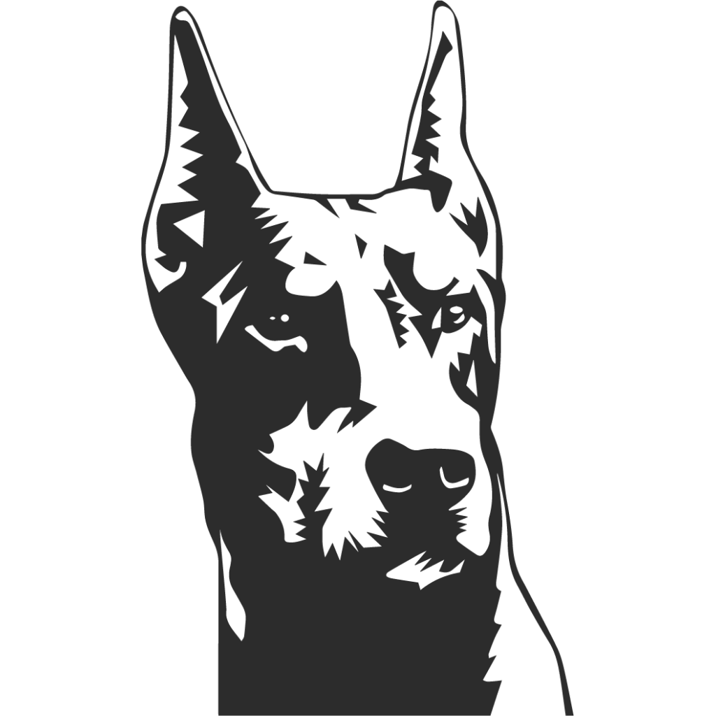 Doberman II samolepka Doberman II samolepka