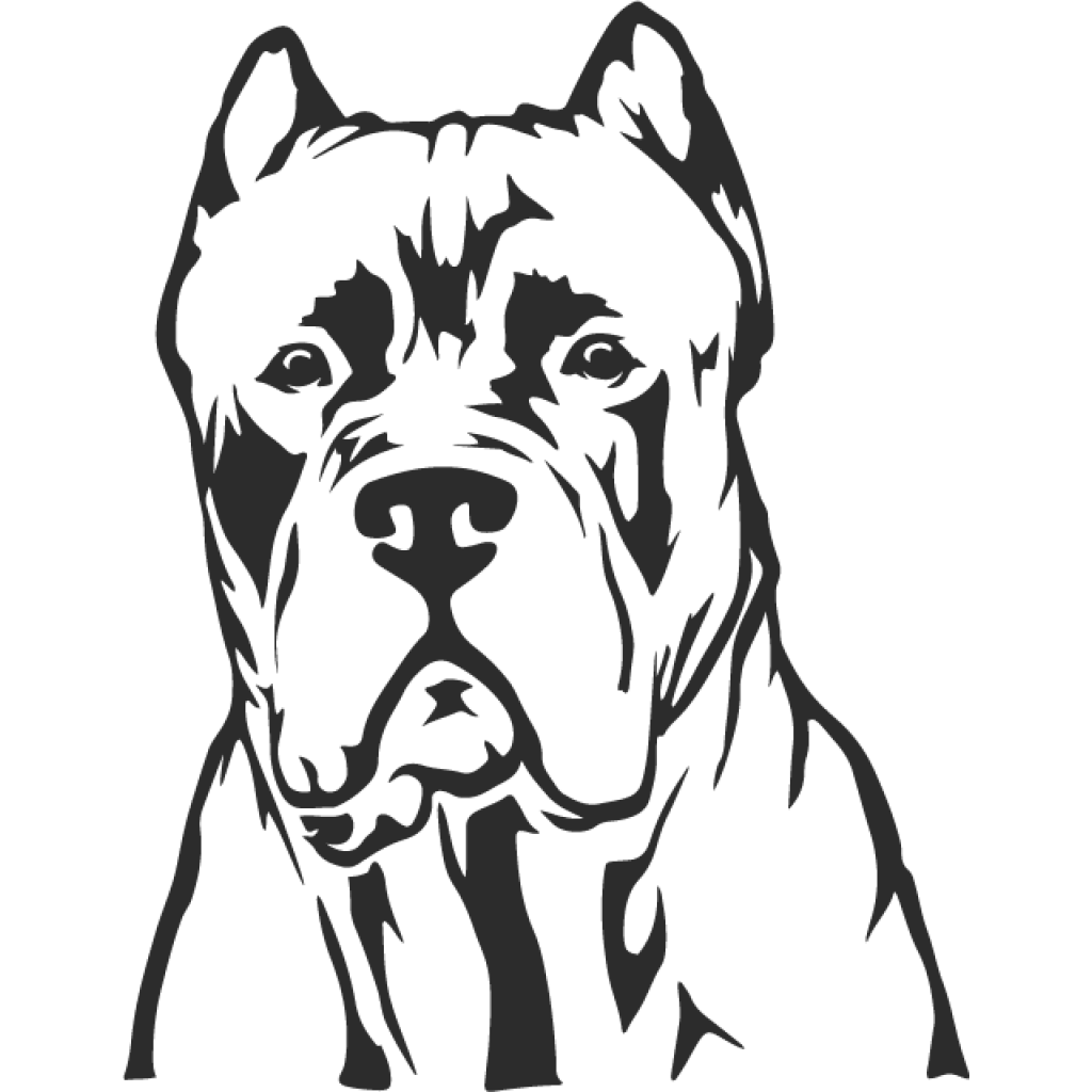 Cane Corso samolepka Cane Corso samolepka