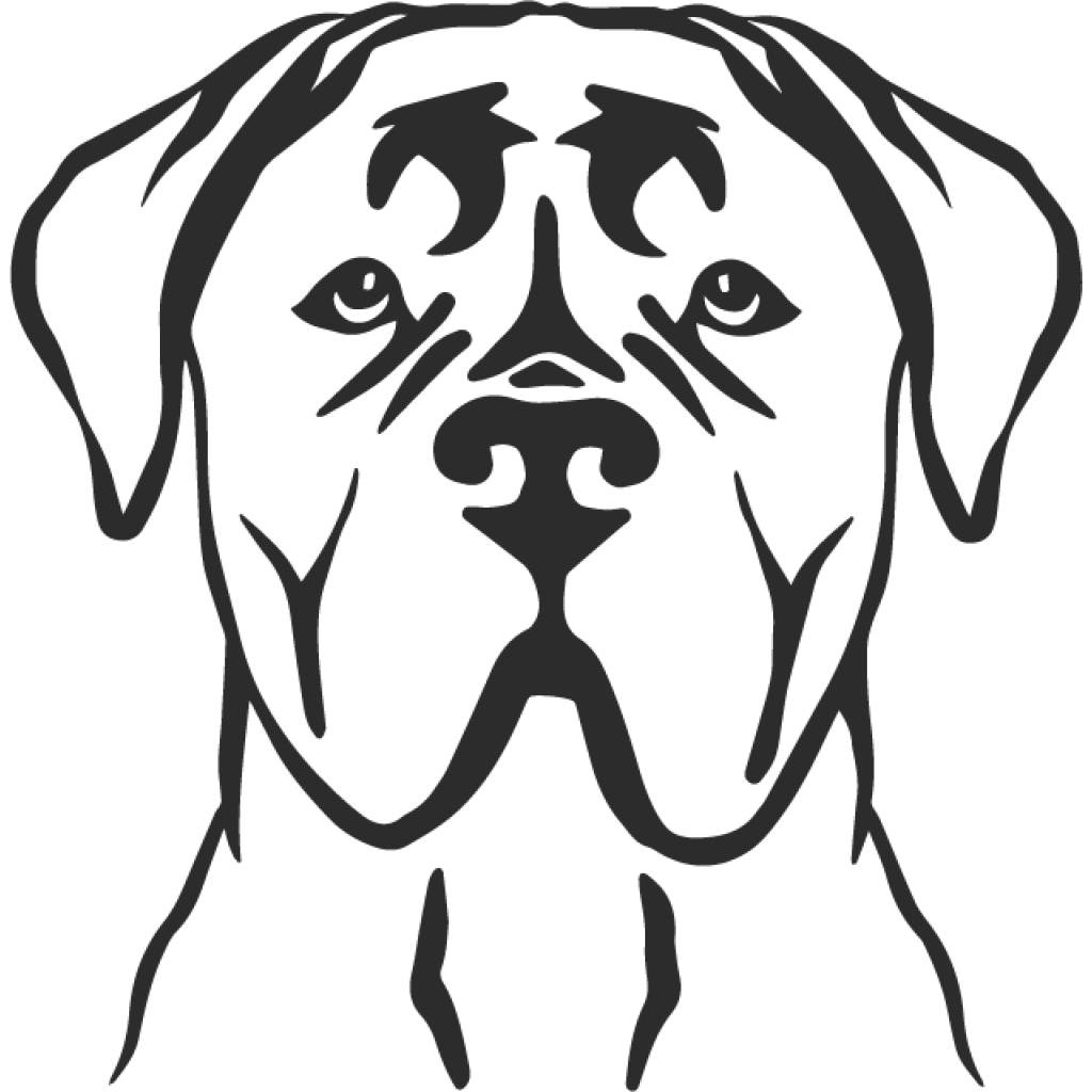 Cane Corso II samolepka Cane Corso II samolepka